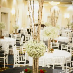 event flowers - birch and babies breath