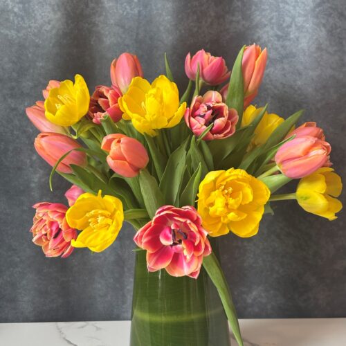 Mother's Day - Tulip Mix