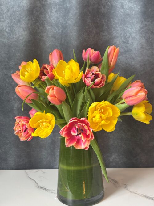 Mother's Day - Tulip Mix